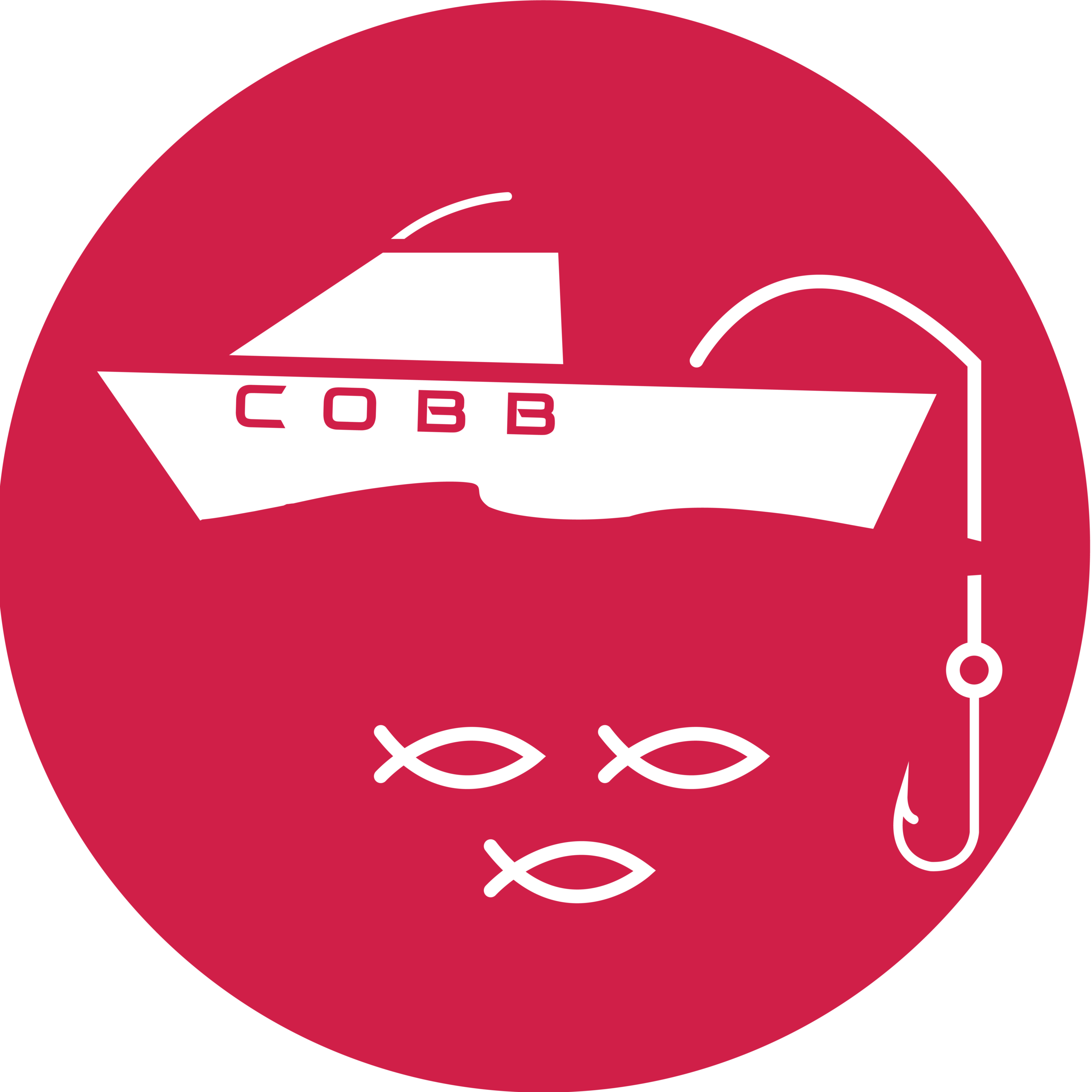 COBB Boater